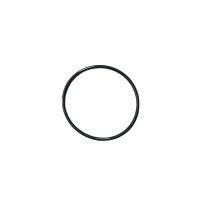 Oring wspornika półosi mechanizmu różnicowego przód Jaguar F-Pace T4A18130